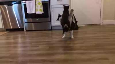 The perfect takedown.