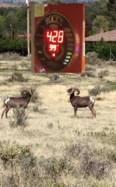 Alright mate let’s see if we can beat the high score