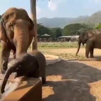 Splash splash splash