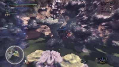 My greatest finish ever ( with Jackass Theme )