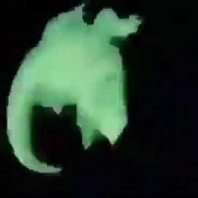 Me: *in perfect place for next positional* The Boss at the exact moment for some fucking reason: