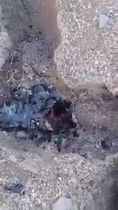 Oli found in berbera