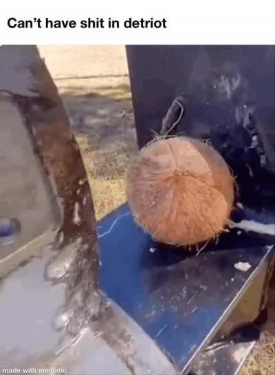 Can’t have shit in Detroit