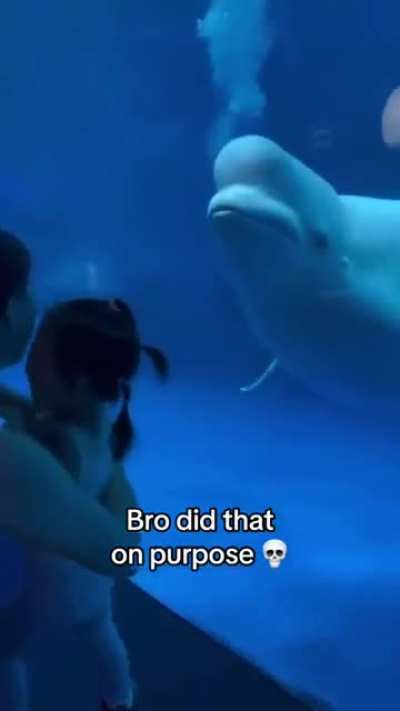 That was clearly intentional