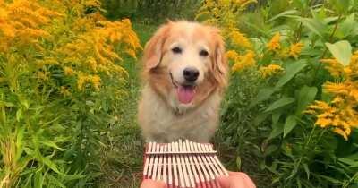 This is what I imagine heaven looks like