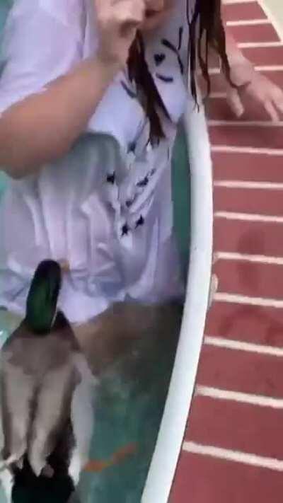 Jerry has an attitude