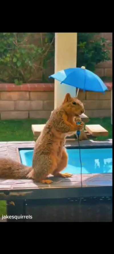 His rap name is Busta Nut