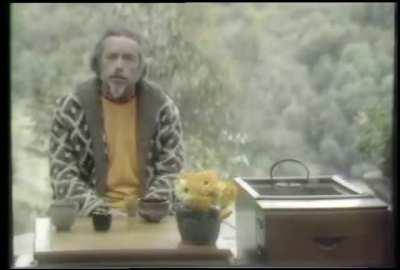 Philosopher Alan Watts in 1971, filmed at Druid Heights above the Muir Woods in San Francisco
