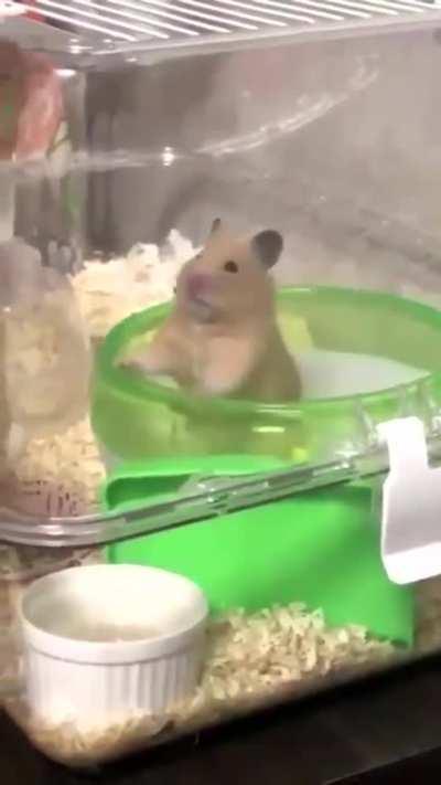 What am I doing with my life