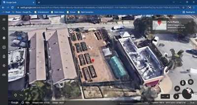 Never knew puro owned a garden