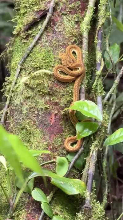 Instagram - 08.31.2025