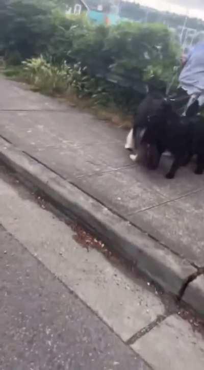 Whoever’s dad this is in Seattle, please tell him he’s my hero [This made my day]