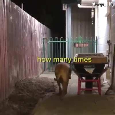 Bros help bros break out of jail..