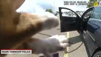 Nice job. Apologies if already shared.