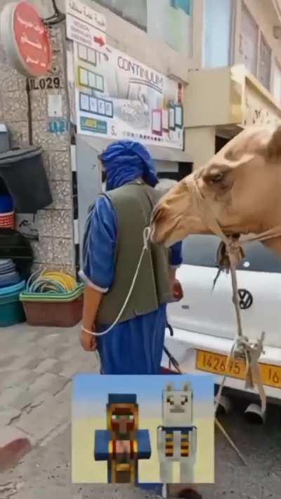 No captions needed (i didn't know what to say).