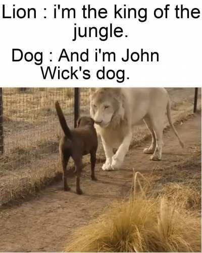 bow to your godfather