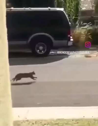 Reminds me of something...