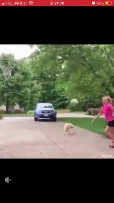 This is getting out of hand, now there are two of them