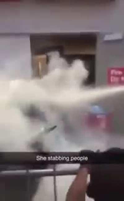 Woman Tries Stabbing Looters, Gets Sprayed with Fire Extinguisher