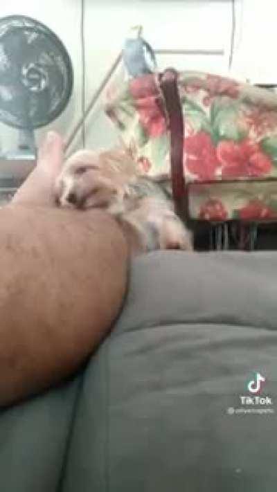 When you're too shy to ask for something