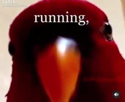 I’m getting closer...