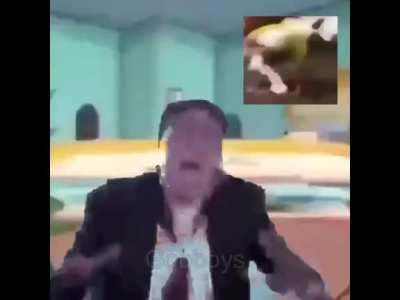 This is it. THIS is our peak humour as a species