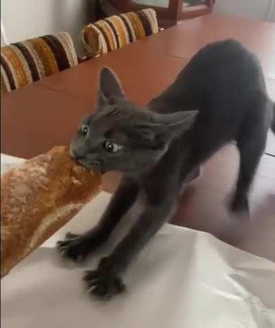 He about to take off