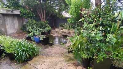 Yesterday evening, Mornington Peninsula, Australia