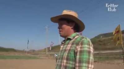 Horse Plays Dead When Anyone Tries to Ride It