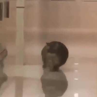 He’s on me… OH SHIT