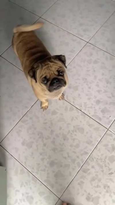 Happy when come home and...