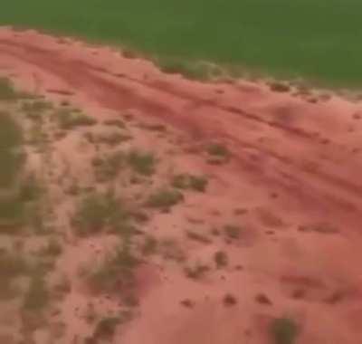 Made that nigga do a flip💀