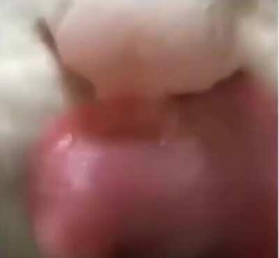 This is the funniest videos I've seen... LOL!