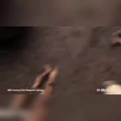 Avisei q ele estava vindo