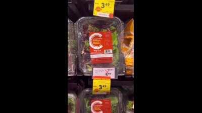 WTF Frog Salad anybody ?