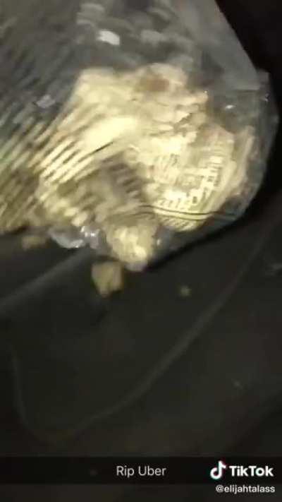 Guys pour bugs in back of Uber