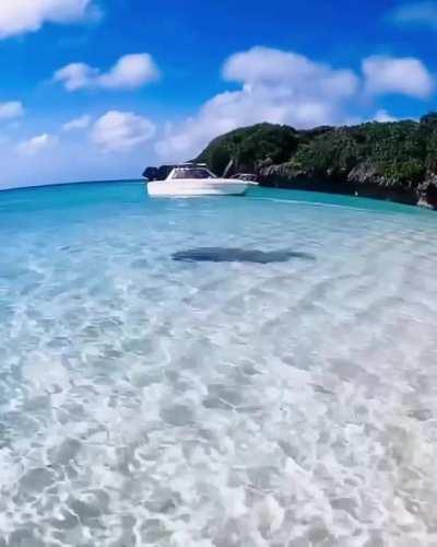 🔥 Beach in Okinawa Japan