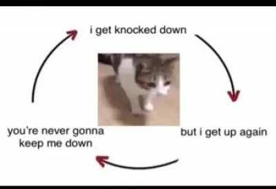 He knows what he's doing