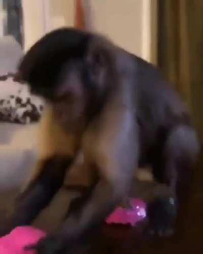 Se le ve bien feliz al admin