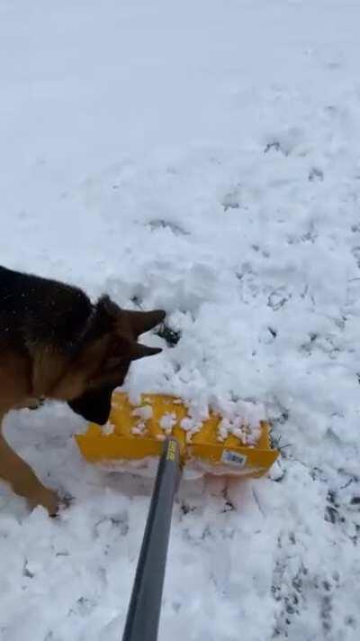 Snow shoveling is going well