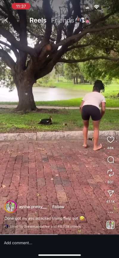 No good deed goes unpunished