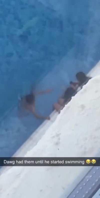 Shrimp in his natural habitat