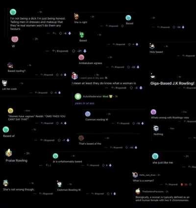 ✨transphobia✨(song is Kernkraft 400 Stadium remix by Zombie Nation)