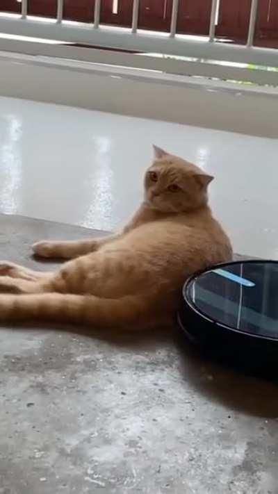 Almost had a thought