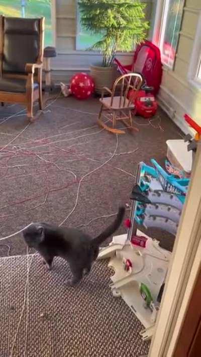 The art and the artist