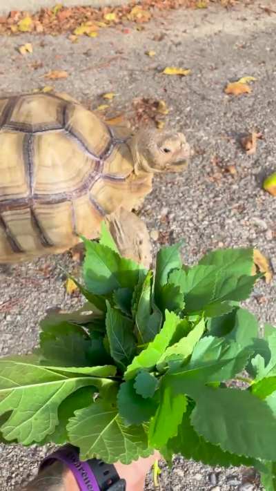 Just a little “touched” in the head.