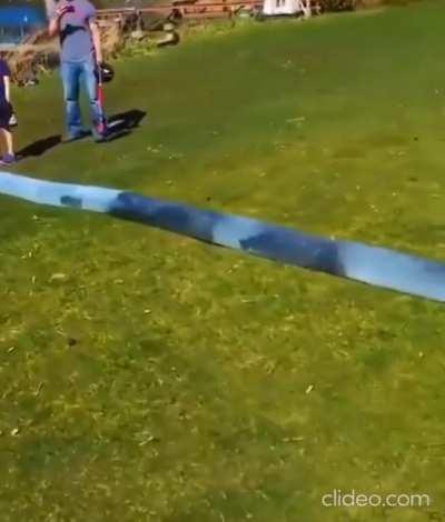 Restoring a lake with fish.