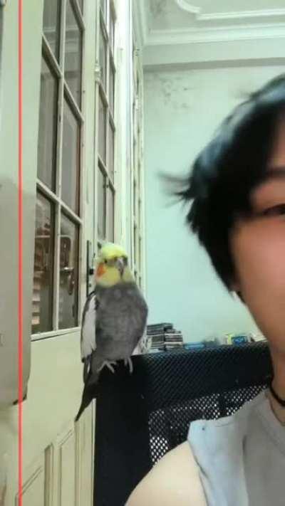 Shenanigans with mah boy