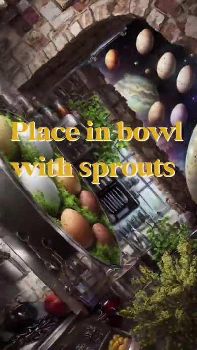 Simple scrambled eggs recipe.