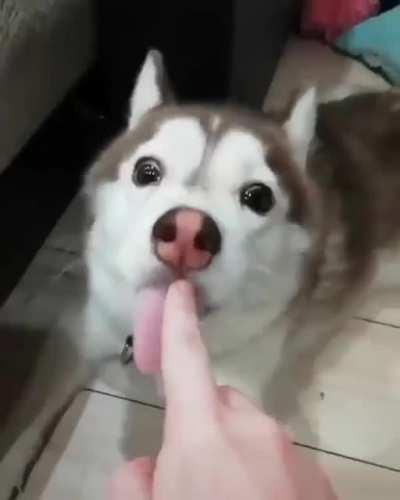 Boop